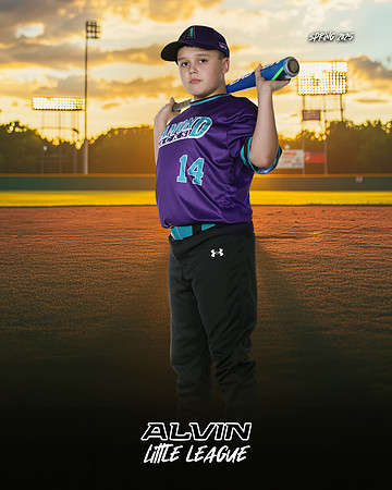 MINORS_DIAMONDACKS_10U_Wallis_Aiden_CAM13850_SUNSHINE