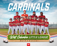 MINORS CARDINALS_Ferguson_Canton
