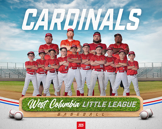 MINORS CARDINALS_Ferguson_Canton