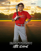 M1_Cardinals_Trujillo_Benjamin Noah_BAY14314_SUNSHINE