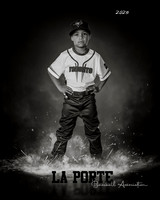 8U_Pinto_Blue Jays_Greenidge_Marlon_LP011713_ROF_BW
