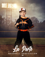 4U_Foal_Orioles_Jarvis_Ryder_LP010396_FIELDLIGHTS