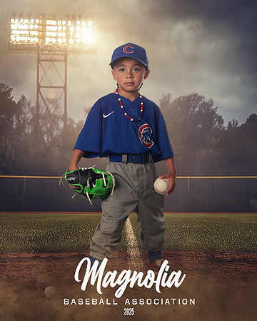 4_5U_Cubs_Bravo_Ellis_MAG26511_FIELD LIGHTS_