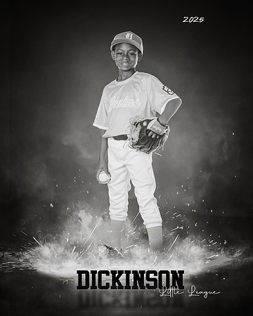 CP8_BRUINS_Babin-Bell_DeCarlo_DLL20162_ROF-BW