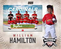 M3_CARDINALS_Hamilton_William_BAY28062_MM