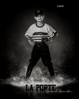 6U_Shetland_Diamondbacks_Luna_Diego_LP010054_ROF_BW