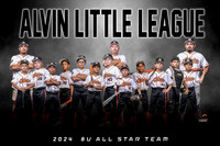 8U ALL STAR TEAM PHOTO