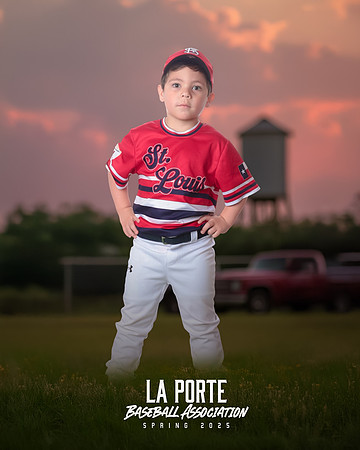 4U_Foal_Cardinals_Totten_William_LP022575_TRUCK