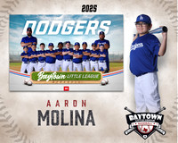 M1_Dodgers_Molina_Aaron_BAY29030_MM