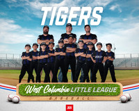 MINORS TIGERS_Lambert_Jameson