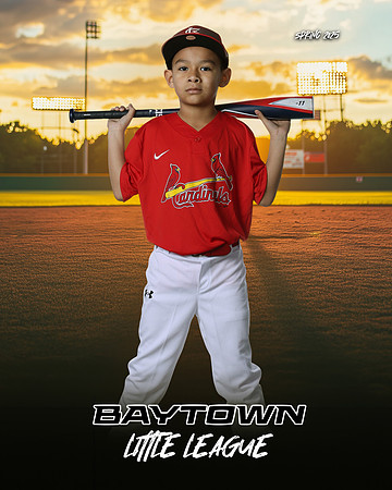 M3_ Cardinals_Camargo_Narsiso_BAY27981_SUNSHINE