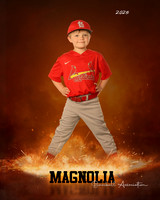 4_5U_Cardinals_Brami_Mason_MAG11653_ROF