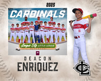 MJR.Powell.Cardinals_Enriquez_Deacon_143A1781_MM