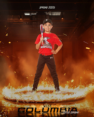 JR MINOR WOODPECKERS_Rios JR_Carlos_WC011001_ROF_