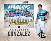 MJR.Dickson.Marlins_Gonzalez_Marcelino_SF_27478_MM