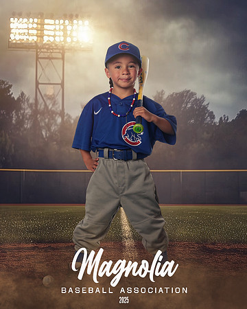 4_5U_Cubs_Bravo_Ellis_MAG26512_FIELD LIGHTS_