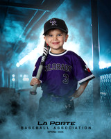 4U_Foal_Rockies_Shearfield_Carver_LP010170_DUGOUT