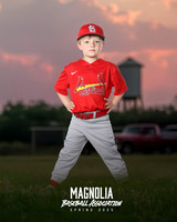 4_5U_Cardinals_Brami_Mason_MAG11654_TRUCK