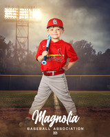 4_5U_Cardinals_Brami_Mason_MAG11655_FIELD LIGHTS_