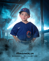 4_5U_Cubs_Reynolds_Walker_MAG26542_DUGOUT_