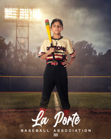 10U_Mustang_Diamnondbacks_AGUIRRE_ROY_LP023293_FIELDLIGHTS