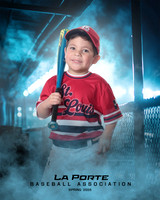 4U_Foal_Cardinals_Totten_William_LP022582_DUGOUT