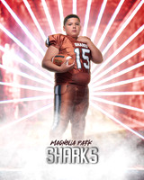 JUNIOR_Sanchez_Fabian_IMGL1398_LAZER_