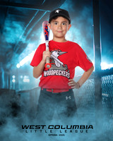 JR MINOR WOODPECKERS_Rios JR_Carlos_WC011001_DUGOUT_