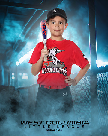JR MINOR WOODPECKERS_Rios JR_Carlos_WC011001_DUGOUT_