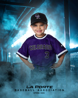 4U_Foal_Rockies_Shearfield_Carver_LP010168_DUGOUT
