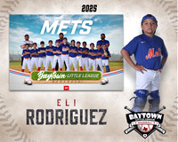 MJR_Mets_Rodriguez_Eli_BAY14155_MM