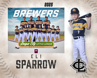 A.Sparrow.Brewers_Sparrow_Eli_IMG_0428_MM_MM