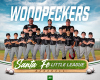 MINORS_WOODPECKERS_Marsolais_Thomas