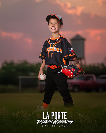 4U_Foal_Orioles_Newell_Ripp_LP010369_TRUCK