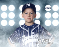 6U_Shetland_Yankees_Diaz_Damon_LP010752_LIT