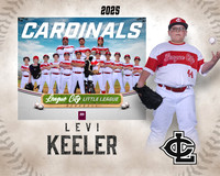 AAA.Lutz.Cardinals_Keeler_Levi_143A0928_MM