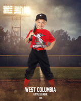 JR MINOR WOODPECKERS_Jenkins_Carter_WC010947_FIELD LIGHTS_