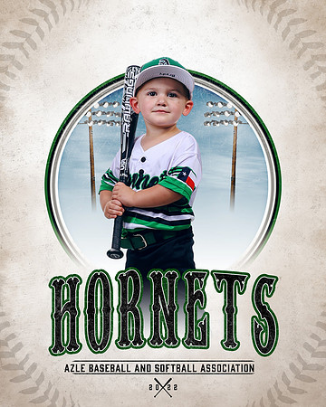 BB_04UFoal_Mobley_Mobley_Brody_CA1_8851_pastime_