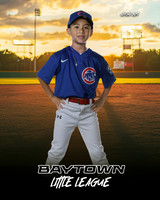 M3_ Cubs_Ramos_Adrian_BAY12234_SUNSHINE