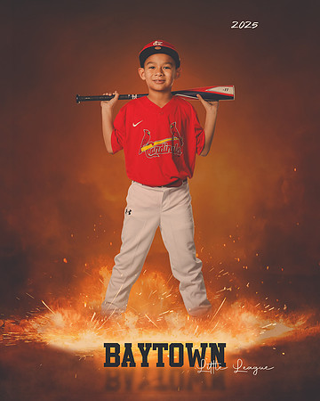 M3_ Cardinals_Camargo_Narsiso_BAY27982_ROF