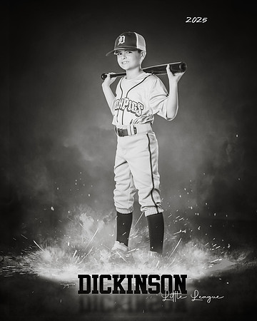 MINORS_IRONPIGS_Suarez_Price_DLL12696_ROF-BW