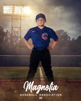 8U_Cubs_Vlasatik_Jacobi_MAG26138_FIELD LIGHTS_