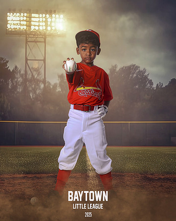 M3_CARDINALS_Hamilton_William_BAY28065_FIELDLIGHTS