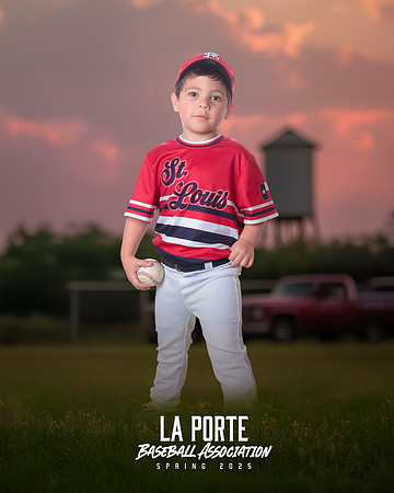 4U_Foal_Cardinals_Totten_William_LP022590_TRUCK