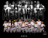 MEGAWATT_8U
