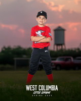 JR MINOR WOODPECKERS_Solis_Slayton_WC010971_TRUCKS_