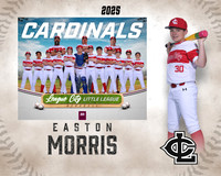 MJR.Powell.Cardinals_Morris_Easton_143A1842_MM