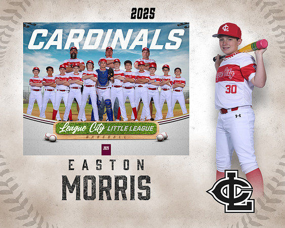 MJR.Powell.Cardinals_Morris_Easton_143A1842_MM