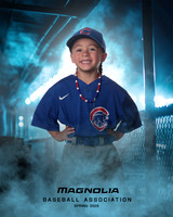 4_5U_Cubs_Bravo_Ellis_MAG26504_DUGOUT_