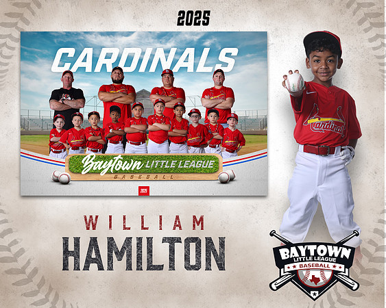 M3_CARDINALS_Hamilton_William_BAY28066_MM